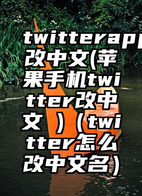 twitterapp改中文(苹果手机twitter改中文 )（twitter怎么改中文名）