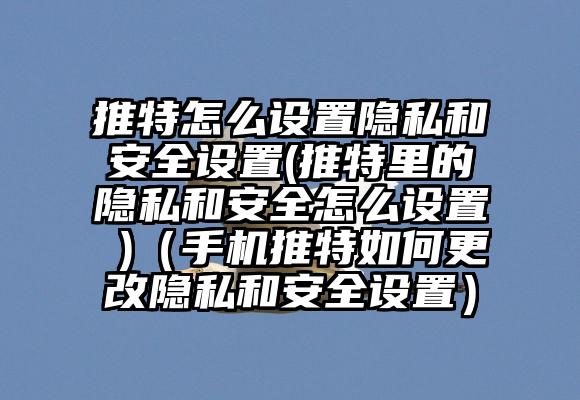推特怎么设置隐私和安全设置(推特里的隐私和安全怎么设置 )（手机推特如何更改隐私和安全设置）