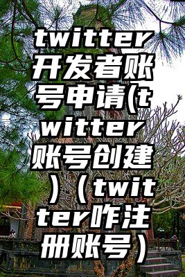twitter开发者账号申请(twitter账号创建 )（twitter咋注册账号）
