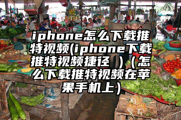 iphone怎么下载推特视频(iphone下载推特视频捷径 )（怎么下载推特视频在苹果手机上）