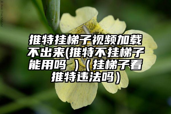 推特挂梯子视频加载不出来(推特不挂梯子能用吗 )(挂梯子看推特违法吗)