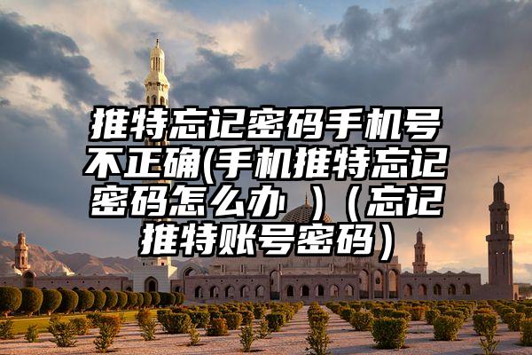 推特忘记密码手机号不正确(手机推特忘记密码怎么办 )（忘记推特账号密码）