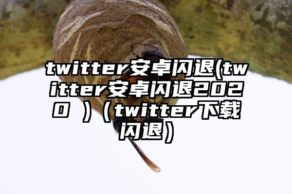 twitter安卓闪退(twitter安卓闪退2020 )（twitter下载闪退）