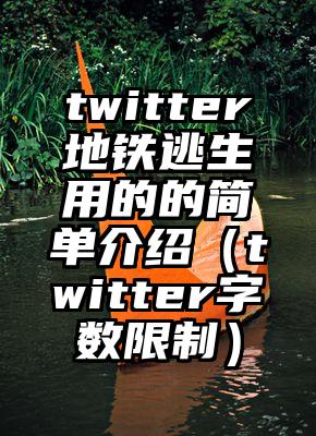 twitter地铁逃生用的的简单介绍（twitter字数限制）