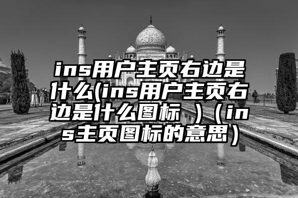 ins用户主页右边是什么(ins用户主页右边是什么图标 )（ins主页图标的意思）