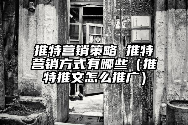 推特营销策略 推特营销方式有哪些（推特推文怎么推广）