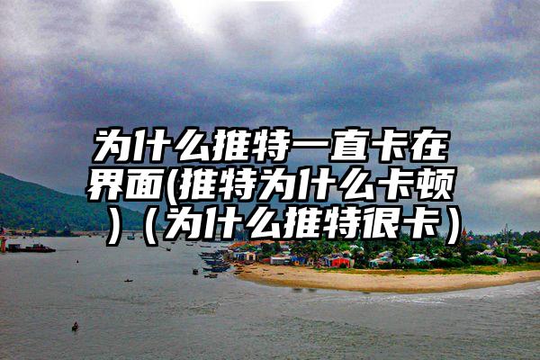 为什么推特一直卡在界面(推特为什么卡顿 )（为什么推特很卡）