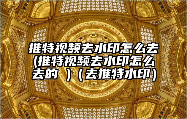推特视频去水印怎么去(推特视频去水印怎么去的 )（去推特水印）