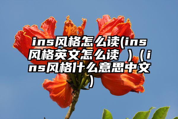 ins风格怎么读(ins风格英文怎么读 )（ins风格什么意思中文）