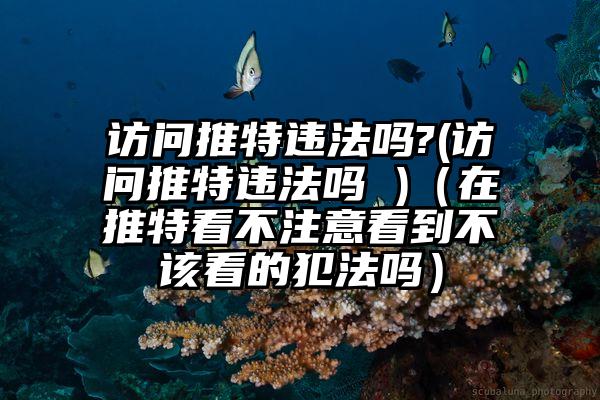 访问推特违法吗?(访问推特违法吗 )（在推特看不注意看到不该看的犯法吗）