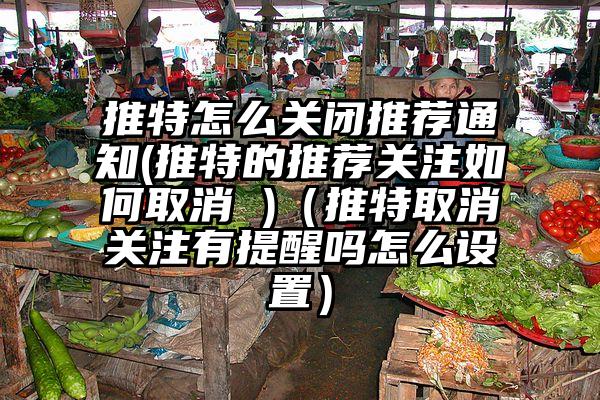 推特怎么关闭推荐通知(推特的推荐关注如何取消 )（推特取消关注有提醒吗怎么设置）