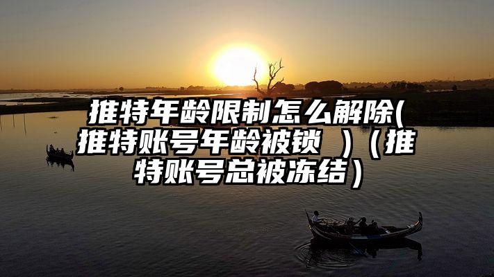 推特年龄限制怎么解除(推特账号年龄被锁 )（推特账号总被冻结）