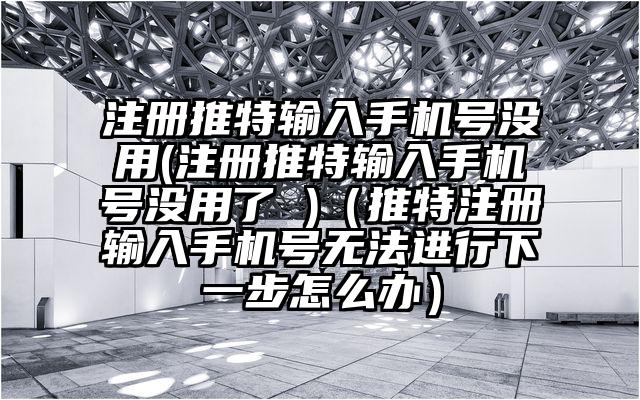 注册推特输入手机号没用(注册推特输入手机号没用了 )（推特注册输入手机号无法进行下一步怎么办）