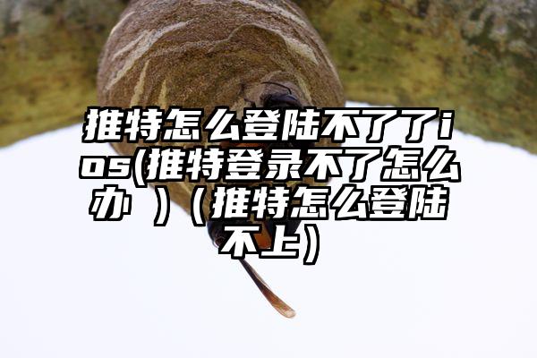 推特怎么登陆不了了ios(推特登录不了怎么办 )（推特怎么登陆不上）