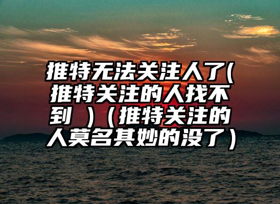 推特无法关注人了(推特关注的人找不到 )（推特关注的人莫名其妙的没了）