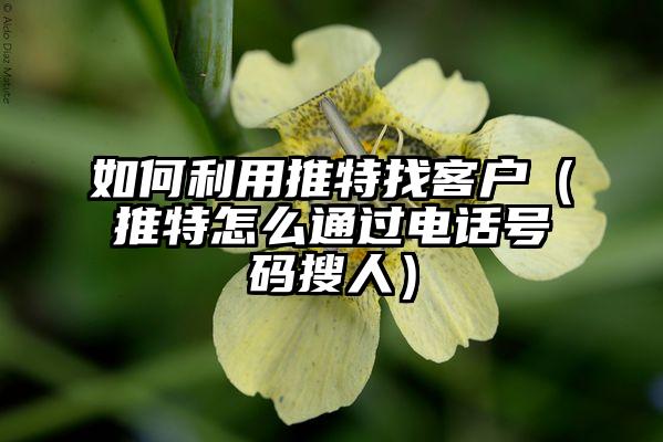 如何利用推特找客户（推特怎么通过电话号码搜人）