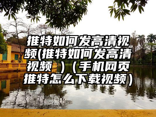 推特如何发高清视频(推特如何发高清视频 )（手机网页推特怎么下载视频）
