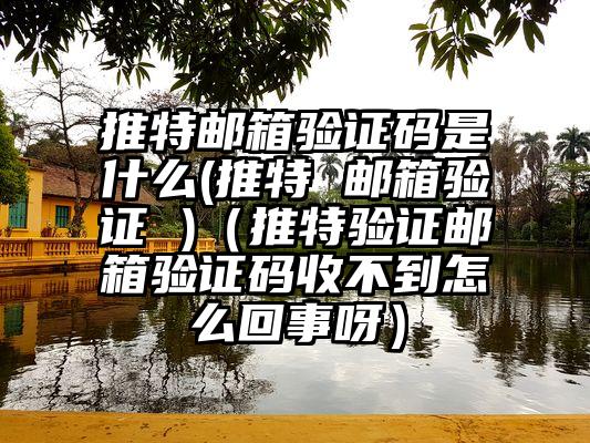 推特邮箱验证码是什么(推特 邮箱验证 )（推特验证邮箱验证码收不到怎么回事呀）