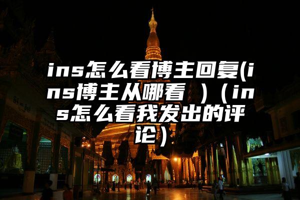 ins怎么看博主回复(ins博主从哪看 )（ins怎么看我发出的评论）