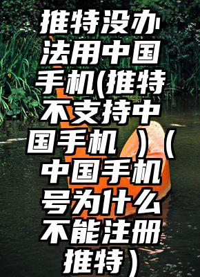 推特没办法用中国手机(推特不支持中国手机 )（中国手机号为什么不能注册推特）