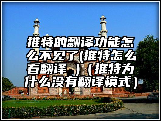 推特的翻译功能怎么不见了(推特怎么看翻译 )（推特为什么没有翻译模式）