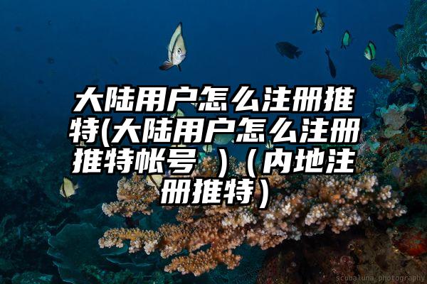 大陆用户怎么注册推特(大陆用户怎么注册推特帐号 )（内地注册推特）