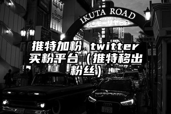 推特加粉 twitter买粉平台（推特移出粉丝）