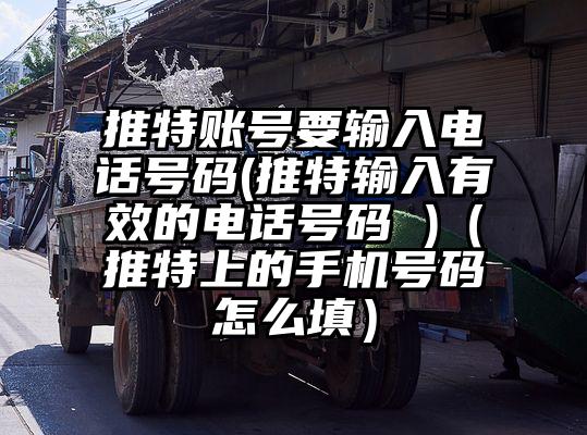 推特账号要输入电话号码(推特输入有效的电话号码 )（推特上的手机号码怎么填）
