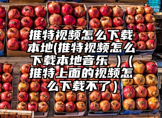 推特视频怎么下载本地(推特视频怎么下载本地音乐 )（推特上面的视频怎么下载不了）