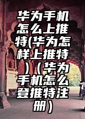 华为手机怎么上推特(华为怎样上推特 )（华为手机怎么登推特注册）