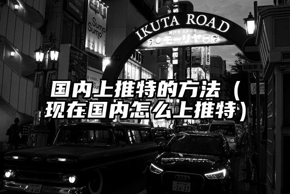 国内上推特的方法（现在国内怎么上推特）