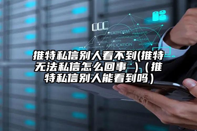 推特私信别人看不到(推特无法私信怎么回事 )（推特私信别人能看到吗）