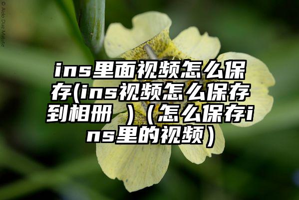 ins里面视频怎么保存(ins视频怎么保存到相册 )（怎么保存ins里的视频）