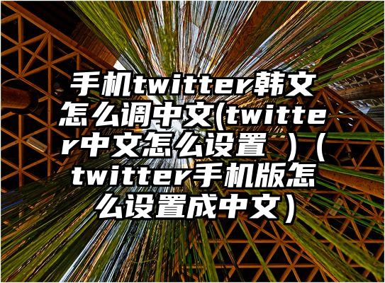手机twitter韩文怎么调中文(twitter中文怎么设置 )（twitter手机版怎么设置成中文）
