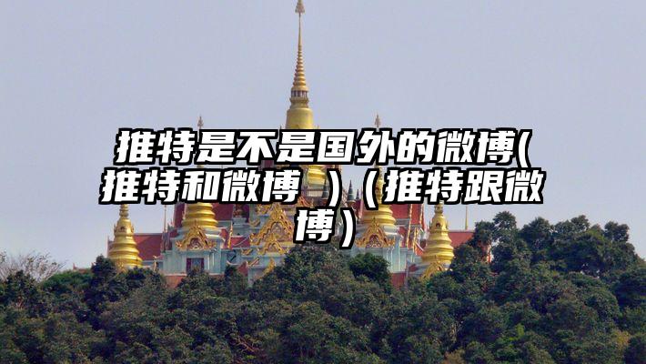 推特是不是国外的微博(推特和微博 )（推特跟微博）