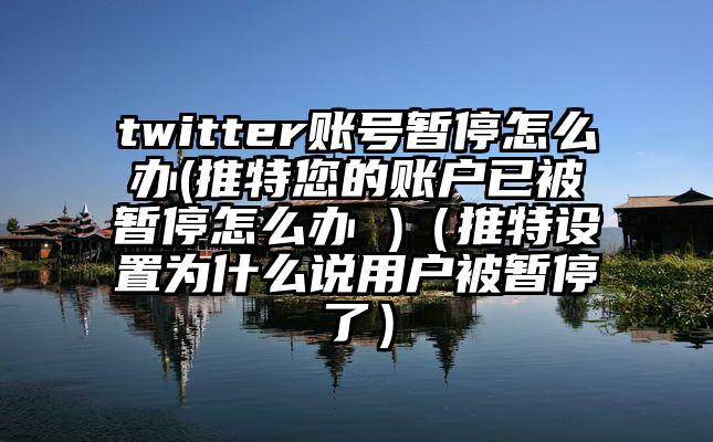twitter账号暂停怎么办(推特您的账户已被暂停怎么办 )（推特设置为什么说用户被暂停了）