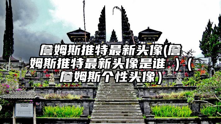 詹姆斯推特最新头像(詹姆斯推特最新头像是谁 )（詹姆斯个性头像）