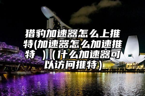 猎豹加速器怎么上推特(加速器怎么加速推特 )（什么加速器可以访问推特）