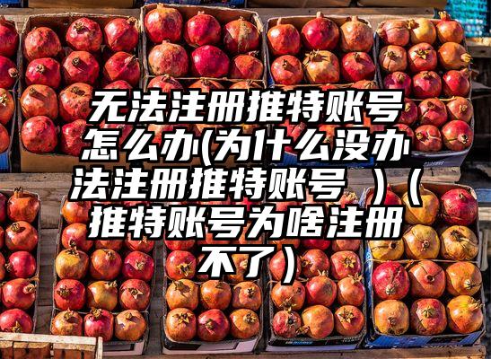 无法注册推特账号怎么办(为什么没办法注册推特账号 )（推特账号为啥注册不了）