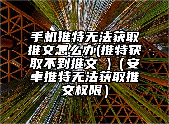 手机推特无法获取推文怎么办(推特获取不到推文 )（安卓推特无法获取推文权限）