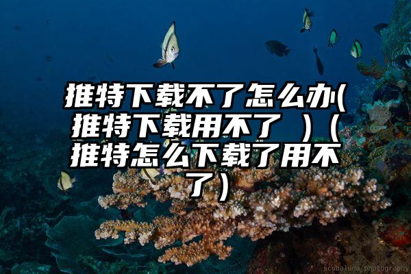 推特下载不了怎么办(推特下载用不了 )（推特怎么下载了用不了）