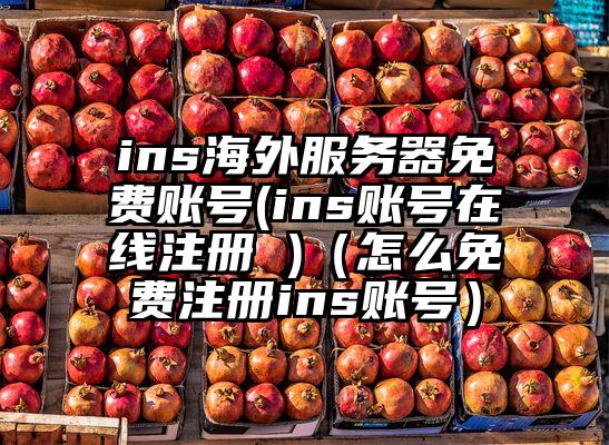 ins海外服务器免费账号(ins账号在线注册 )（怎么免费注册ins账号）