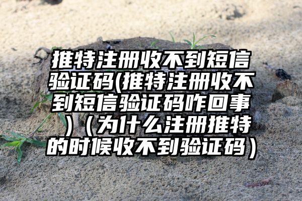 推特注册收不到短信验证码(推特注册收不到短信验证码咋回事 )（为什么注册推特的时候收不到验证码）