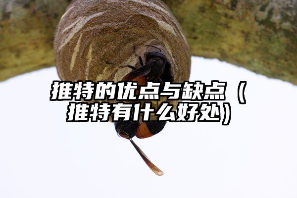 推特的优点与缺点(推特有什么好处)