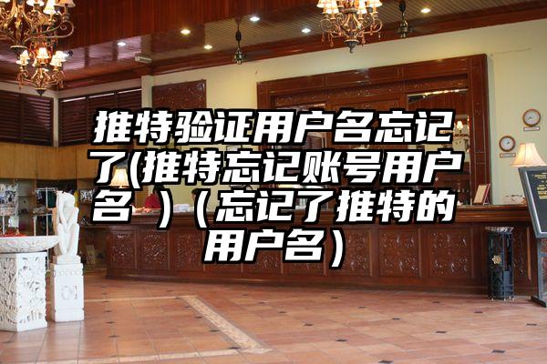 推特验证用户名忘记了(推特忘记账号用户名 )（忘记了推特的用户名）