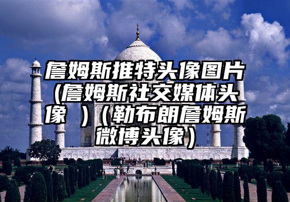 詹姆斯推特头像图片(詹姆斯社交媒体头像 )（勒布朗詹姆斯微博头像）