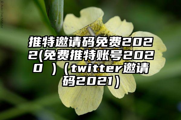 推特邀请码免费2022(免费推特账号2020 )（twitter邀请码2021）