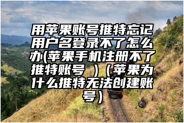 用苹果账号推特忘记用户名登录不了怎么办(苹果手机注册不了推特账号 )（苹果为什么推特无法创建账号）