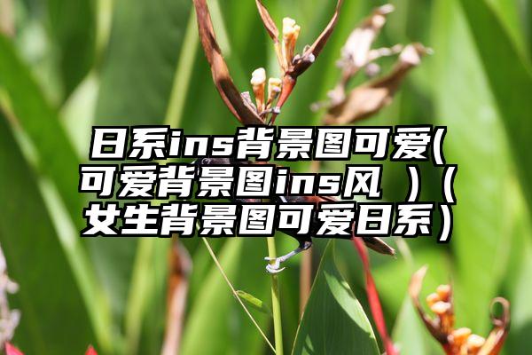 日系ins背景图可爱(可爱背景图ins风 )（女生背景图可爱日系）