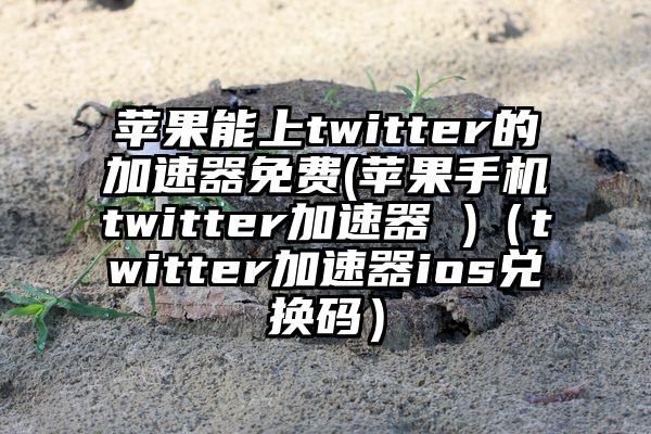 苹果能上twitter的加速器免费(苹果手机twitter加速器 )（twitter加速器ios兑换码）